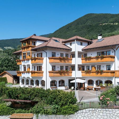 Apartment Lodge Gasserhof Μπρεσανόνε Εξωτερικό φωτογραφία